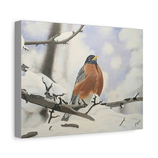 Winter Robin – Realistic Oil Painting of an American Robin in Snow | Wildlife Art | Bird Lover Gift