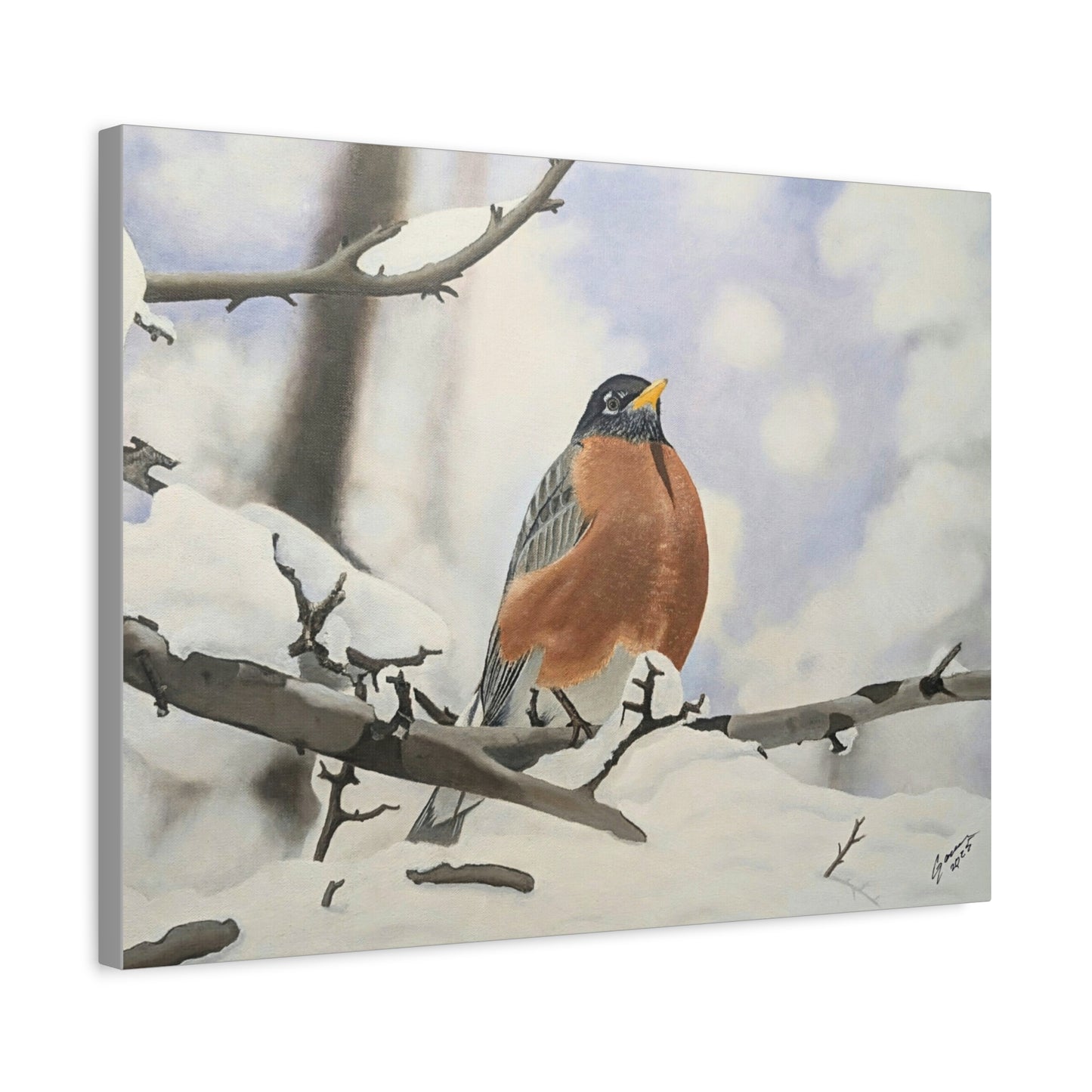 Winter Robin – Realistic Oil Painting of an American Robin in Snow | Wildlife Art | Bird Lover Gift