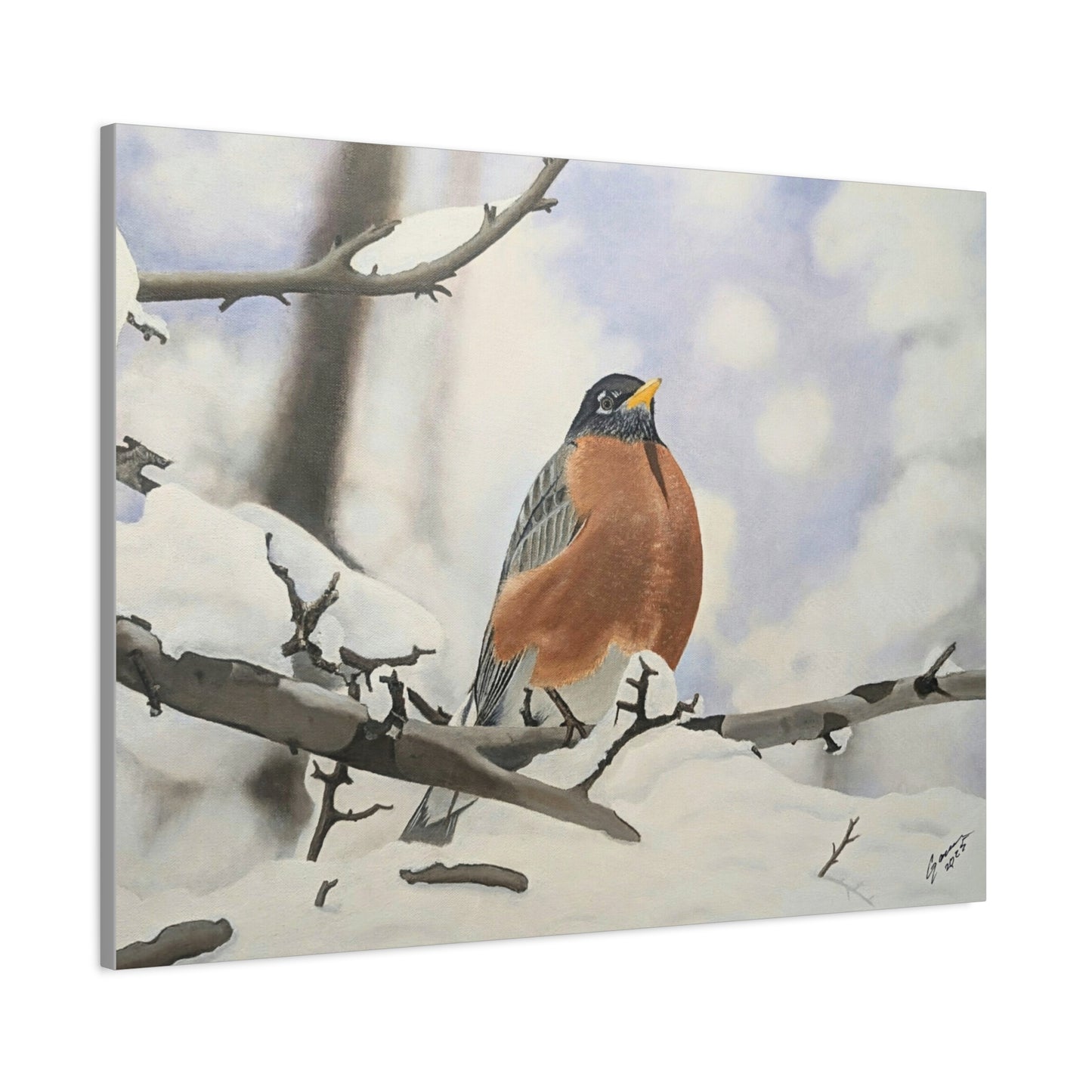 Winter Robin – Realistic Oil Painting of an American Robin in Snow | Wildlife Art | Bird Lover Gift