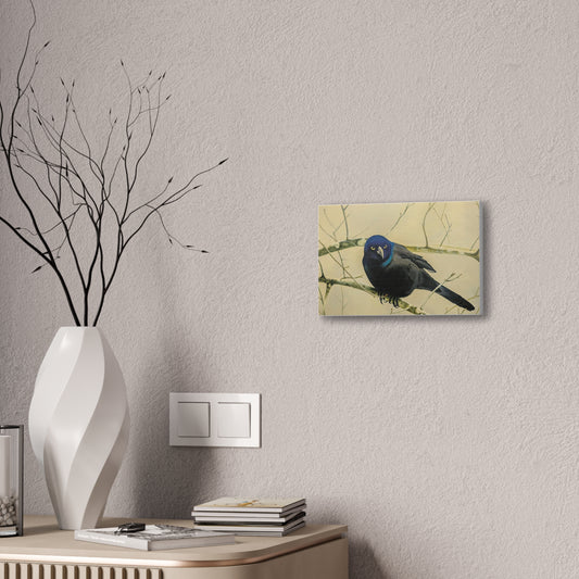 Midnight Grackle Perch – Realistic Bird Oil Painting on Canvas, Nature oil painting, Original oil painting
