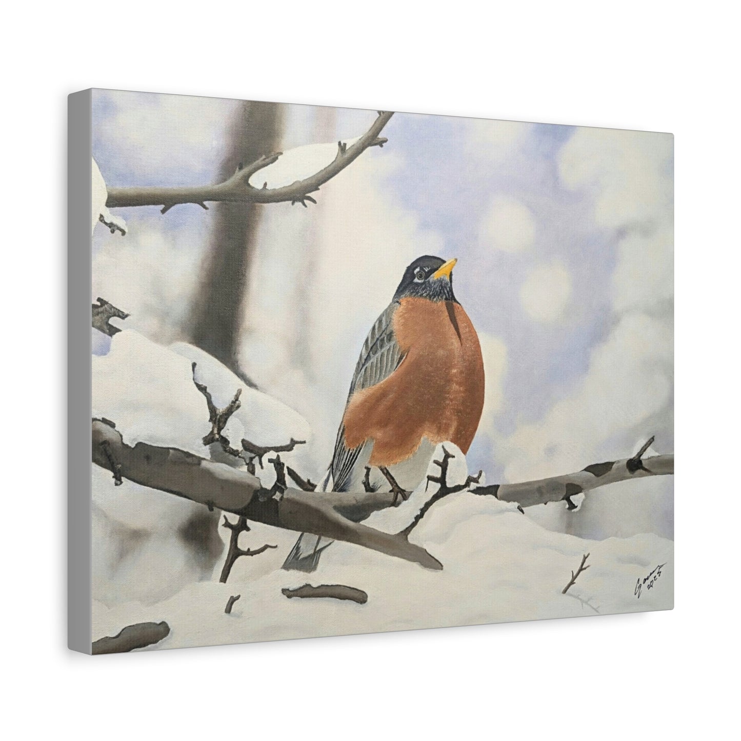 Winter Robin – Realistic Oil Painting of an American Robin in Snow | Wildlife Art | Bird Lover Gift