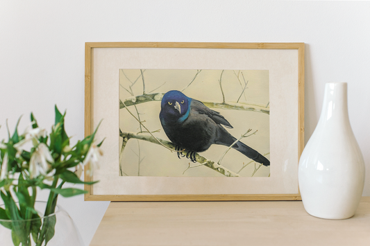 Midnight Grackle Perch – Realistic Bird Oil Painting on Canvas, Nature oil painting, Original oil painting